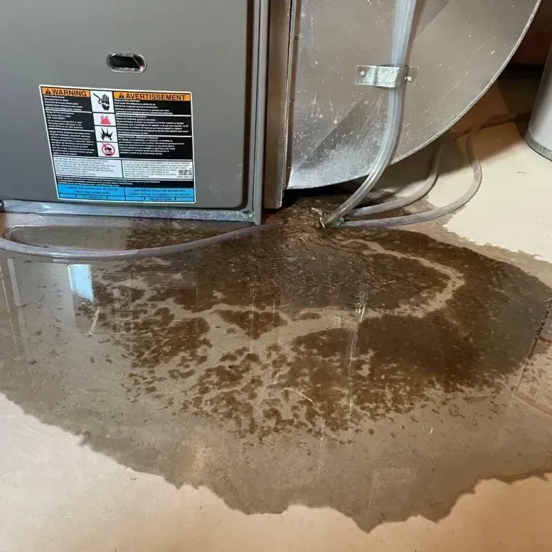 Appliance Leak Cleanup in Centennial, CO